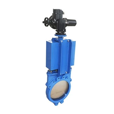 Electric Gate Valve